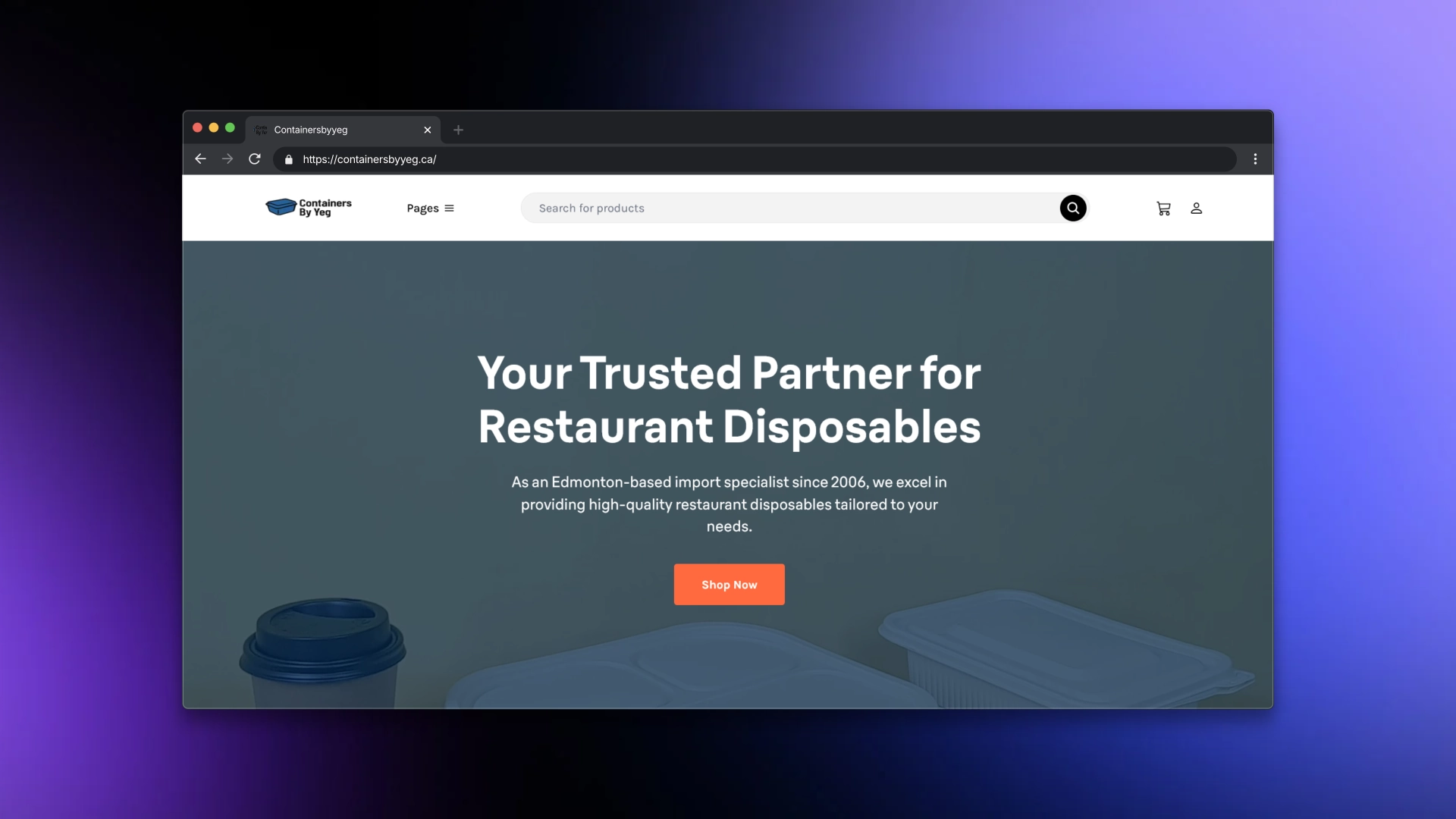 Shopify Development Services in Edmonton