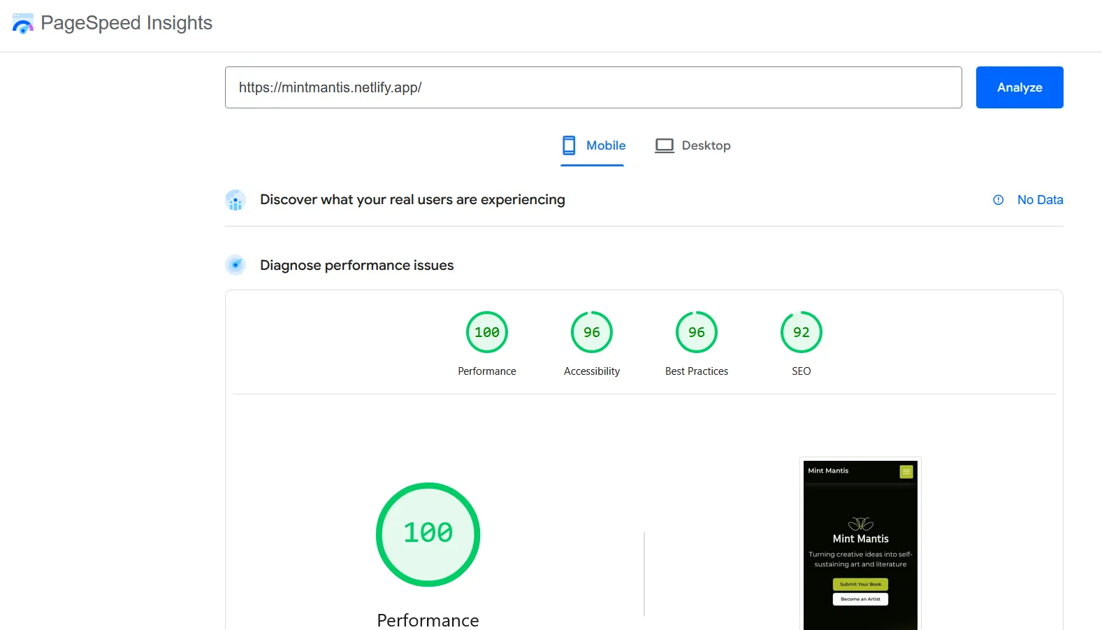 Mint Mantis Google page speed score