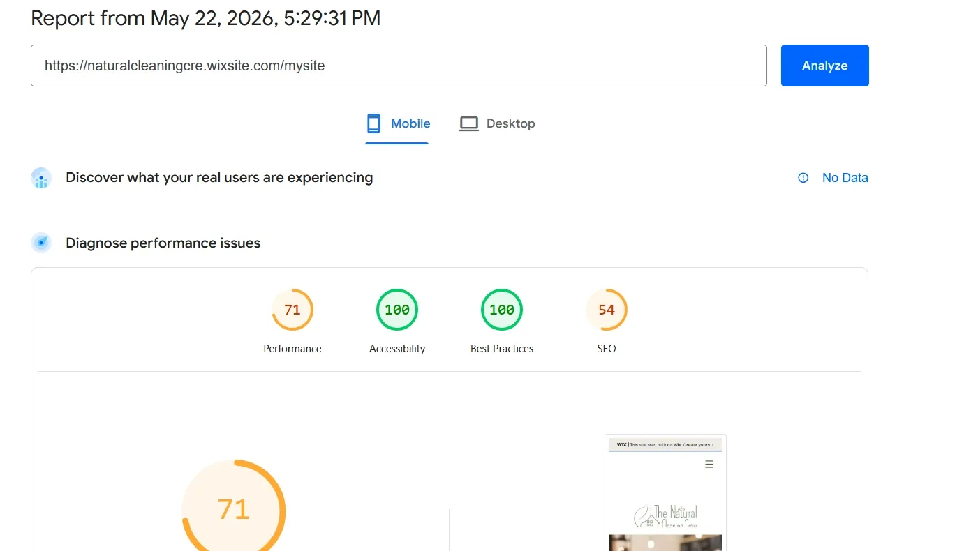 Natural Cleaning Crew old website Google page speed score